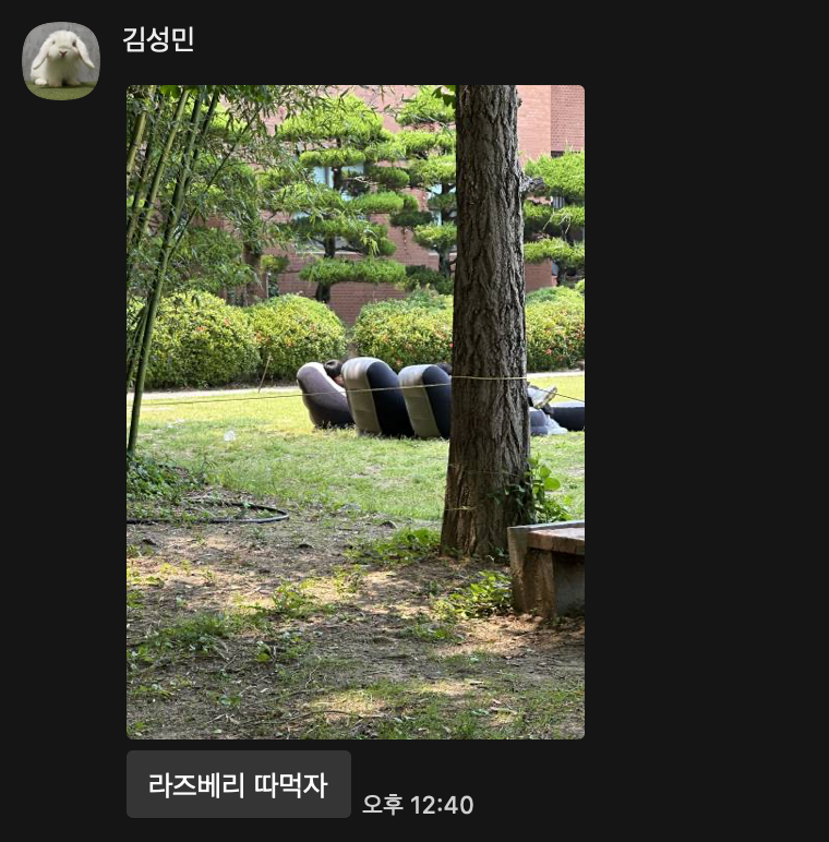 발헤임진심남.png